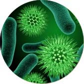 ���I(y��)������